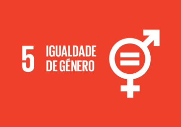 Objetivo nº 5 - Igualdade de género