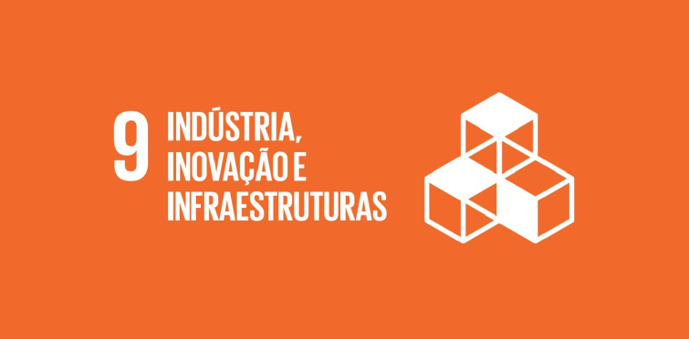 Objetivo nº 9 - Indústria, inovação e infraestruturas
