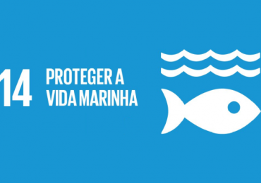 Objetivo nº 11 - Proteger a vida marinha