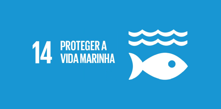 Objetivo nº 11 - Proteger a vida marinha