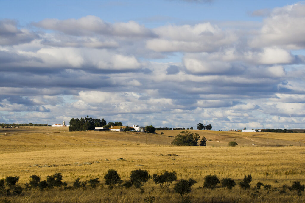 Alentejo_landscape