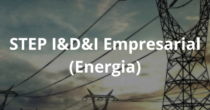 STEP I&D&I Empresarial (Energia)